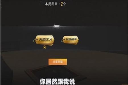 假如和平精英有人开挂会怎么样（和平精英有人开挂该怎么办）