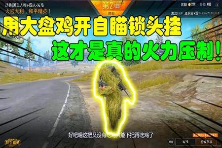 和平精英偶遇外挂一直躲在圈外(和平精英偶遇开挂)
