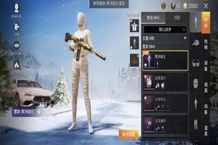 和平精英挂腰带的上衣叫什么(和平精英带星星的上衣叫什么)