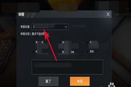 和平精英打最后挂机的算开挂吗(和平精英挂机后此局算战绩吗)
