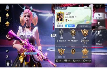 和平精英q区开挂会影响微区吗(和平精英q区开挂影响v区吗)
