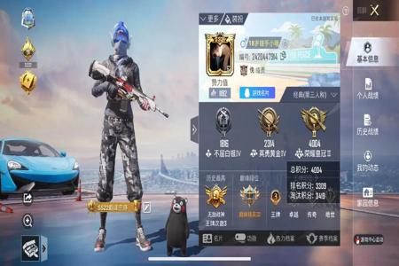 iphone手机和平精英外挂(iphone手机玩和平精英)