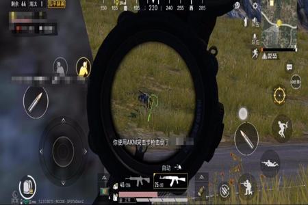 和平精英为什么双排的挂这么稳(和平精英为什么不能双排)