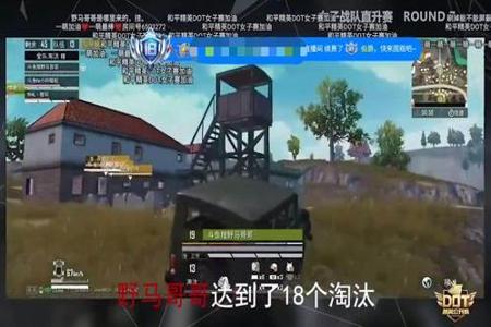 美国人和平精英外挂十年出征一次(和平精英外挂老外)