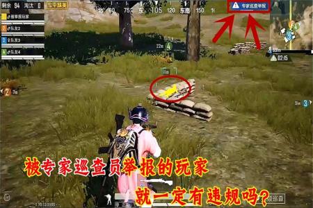 和平精英巡查员碰见外挂美女(和平精英巡查员看见开外挂)