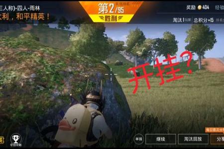 匹配到开挂的人怎么办和平精英(遇到开挂队友怎么办和平精英)