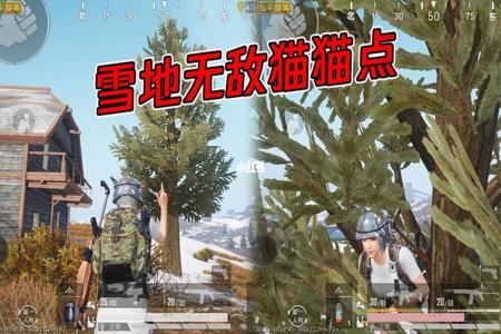 和平精英雪地水泥厂如何开挂(和平精英雪地水泥厂无敌点)