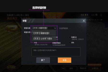 Game怎么使用和平精英开挂(怎么用和平精英玩外挂)