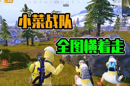 和平精英小菜打不过就说外挂(和平精英打不过就说外挂)