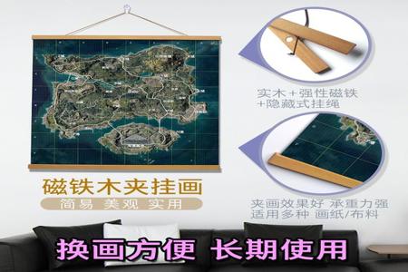 小清新入户挂饰和平精英放哪(卧室挂画和平精英)