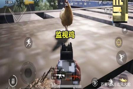 和平精英审核开挂的爆笑场面（和平精英开挂搞笑名场面）