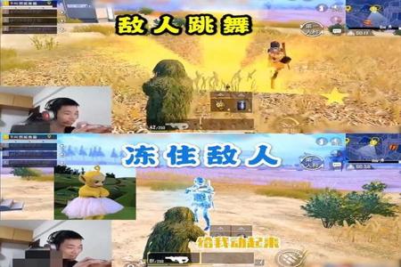 鲨鱼玩和平精英遇到开挂玩家(鲨鱼玩和平精英遇到的开挂玩家)