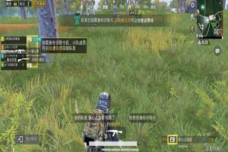 和平精英遇到队友开挂怎么解决(和平精英中遇到队友开挂怎么办)