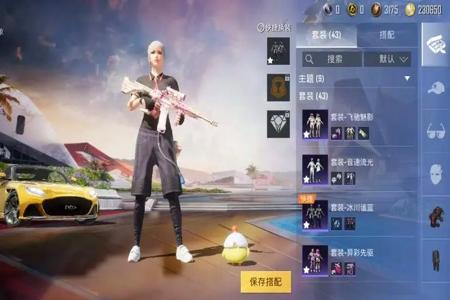 用外挂玩和平精英是什么体验(用电脑玩和平精英是什么体验)