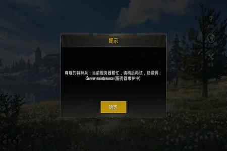 和平精英受了什么刺激超级大挂(和平精英什么挂最狠)