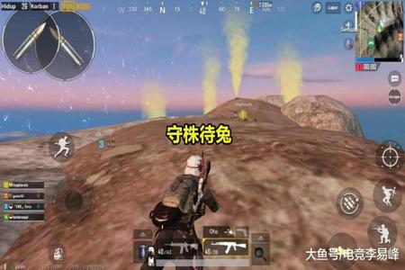 和平精英模拟器真的很多挂吗(和平精英模拟器开挂的人多吗)
