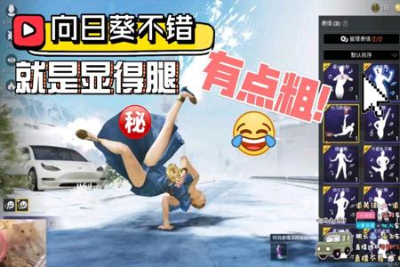 和平精英日葵小班为什么要开挂（和平精英向日葵小班怎么了）