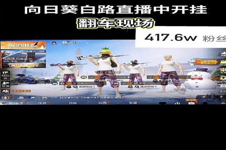 和平精英外挂巡查员查到主播mini(和平精英查外挂巡查员直播)